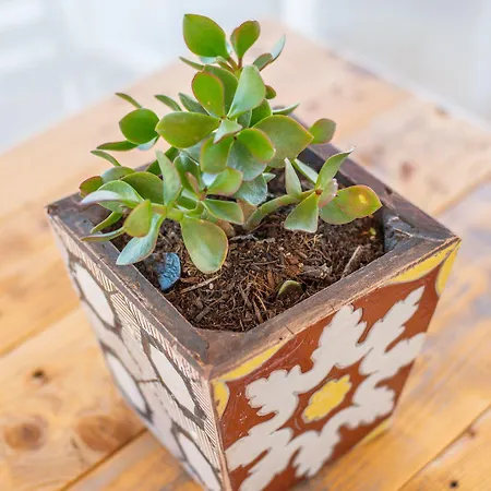 بيت ضيافة Palazzo Maringelli 4*